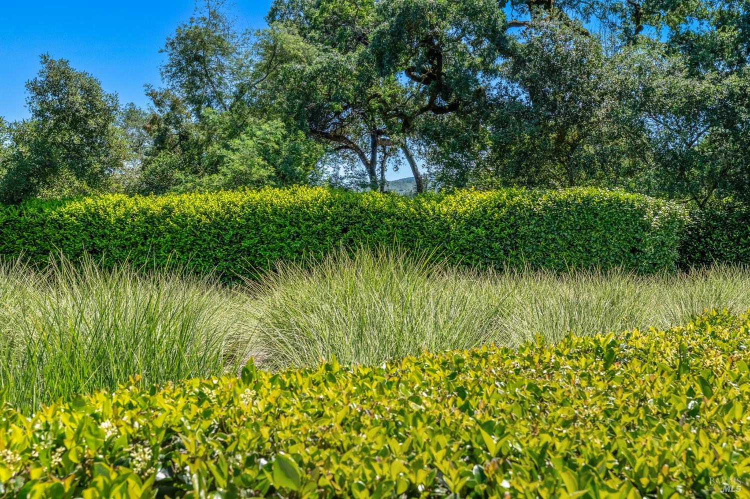 1837 Fir Hill Drive St. Helena CA 94574