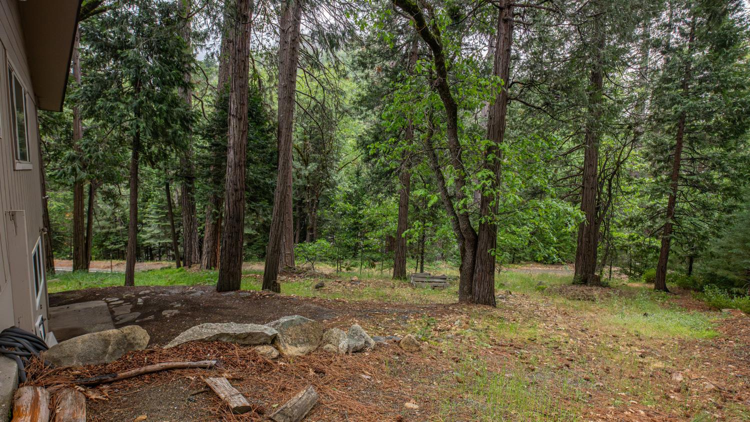 11528 Pine Cone Drive Kyburz CA 95720