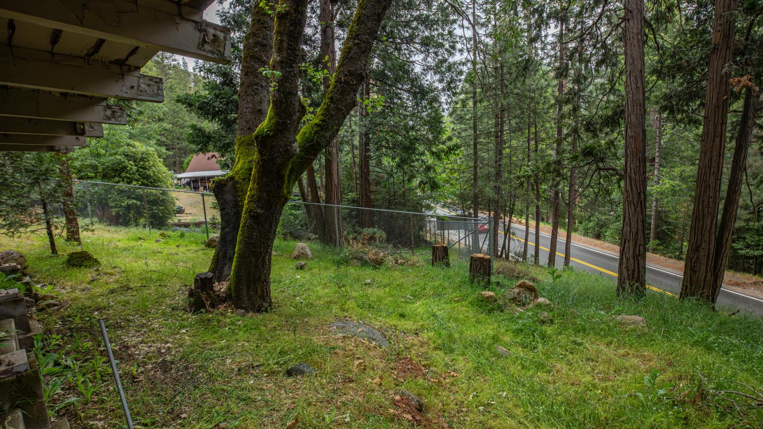 11528 Pine Cone Drive Kyburz CA 95720