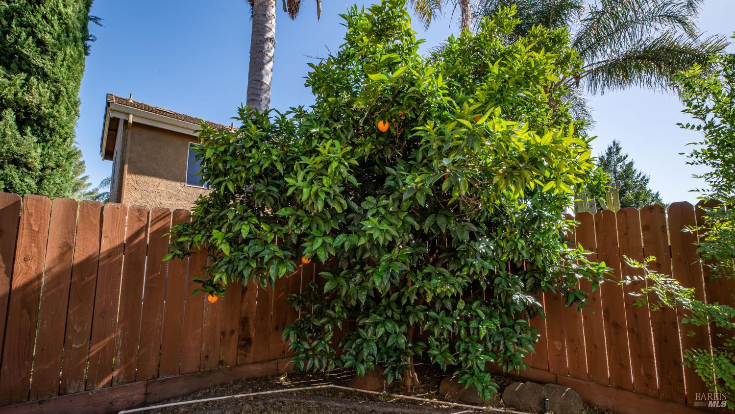 1133 Ironwood Circle Fairfield CA 94533