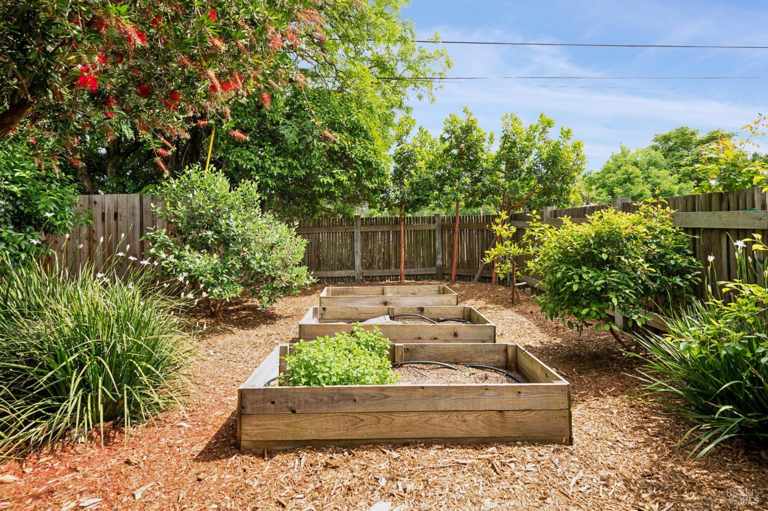 350 Linden Street Sonoma CA 95476