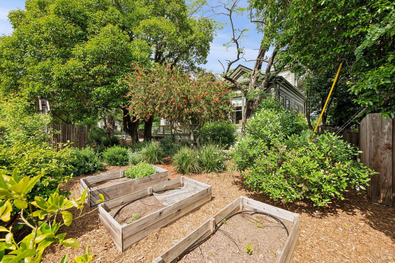 350 Linden Street Sonoma CA 95476