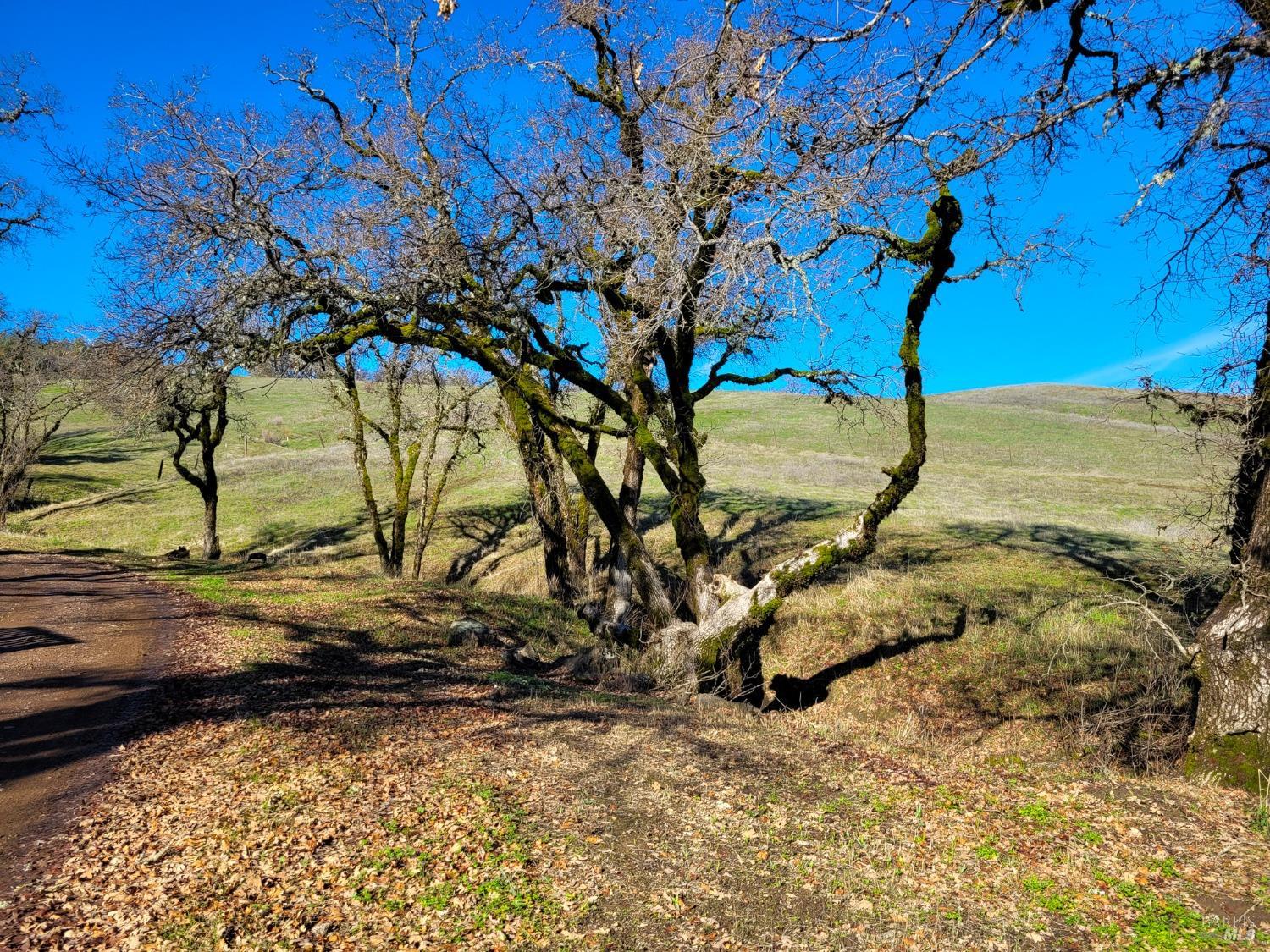 23019 Covelo Refuse Road Covelo CA 95428