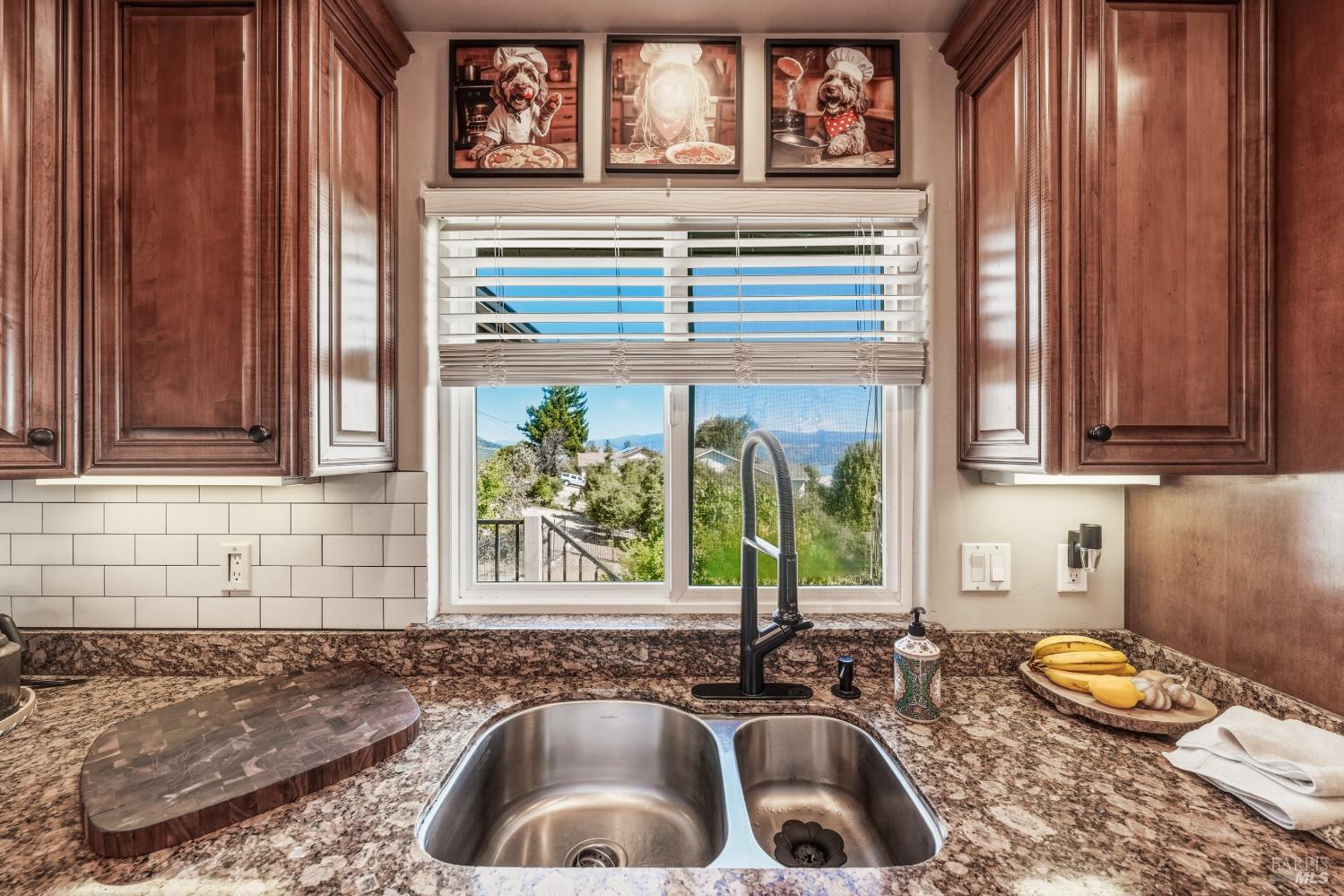 5568 Teton Way Kelseyville CA 95451
