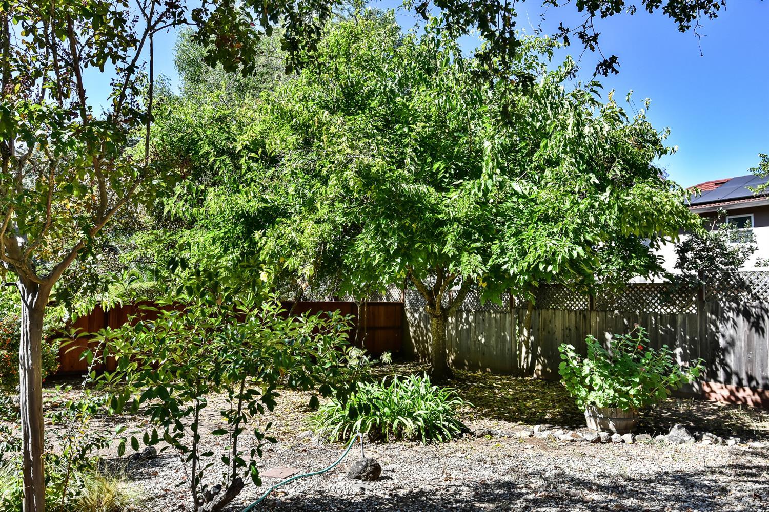 16398 La Grama Street Sonoma CA 95476