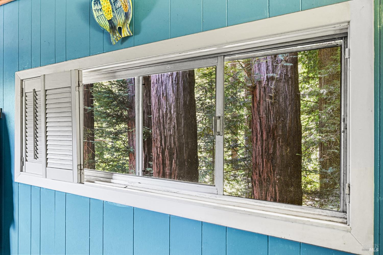 17826 Old Monte Rio Road Guerneville CA 95446