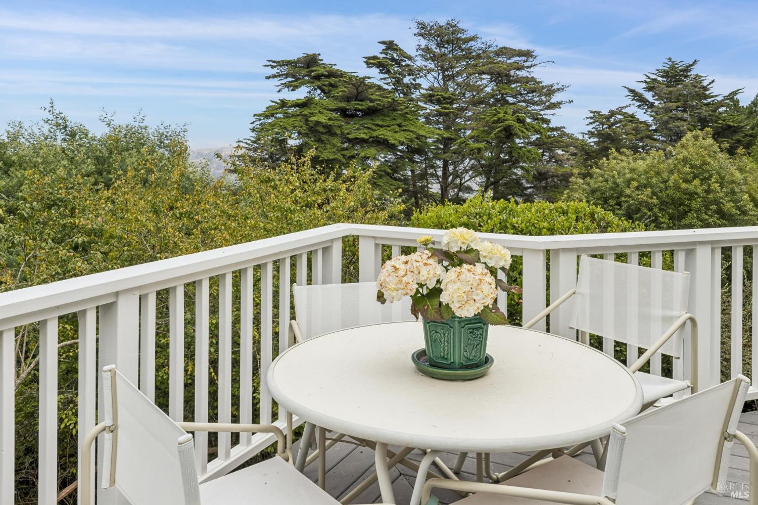 162 Bayview Drive Mill Valley CA 94941