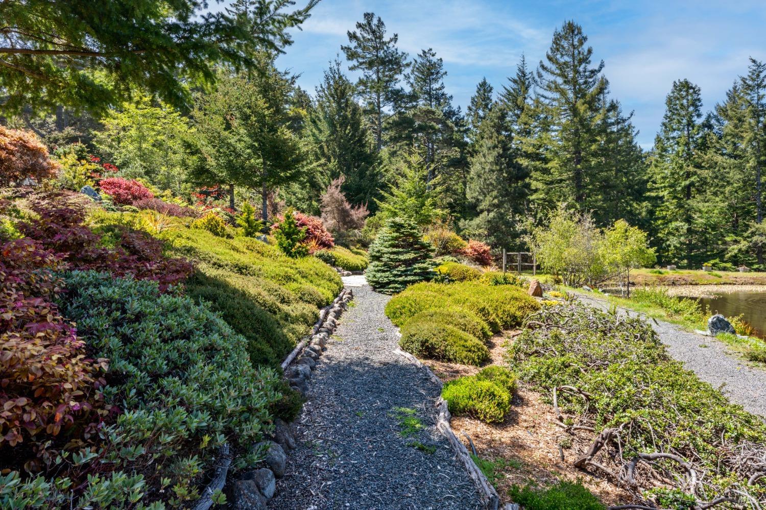 40811 Eureka Hill Road Point Arena CA 95468