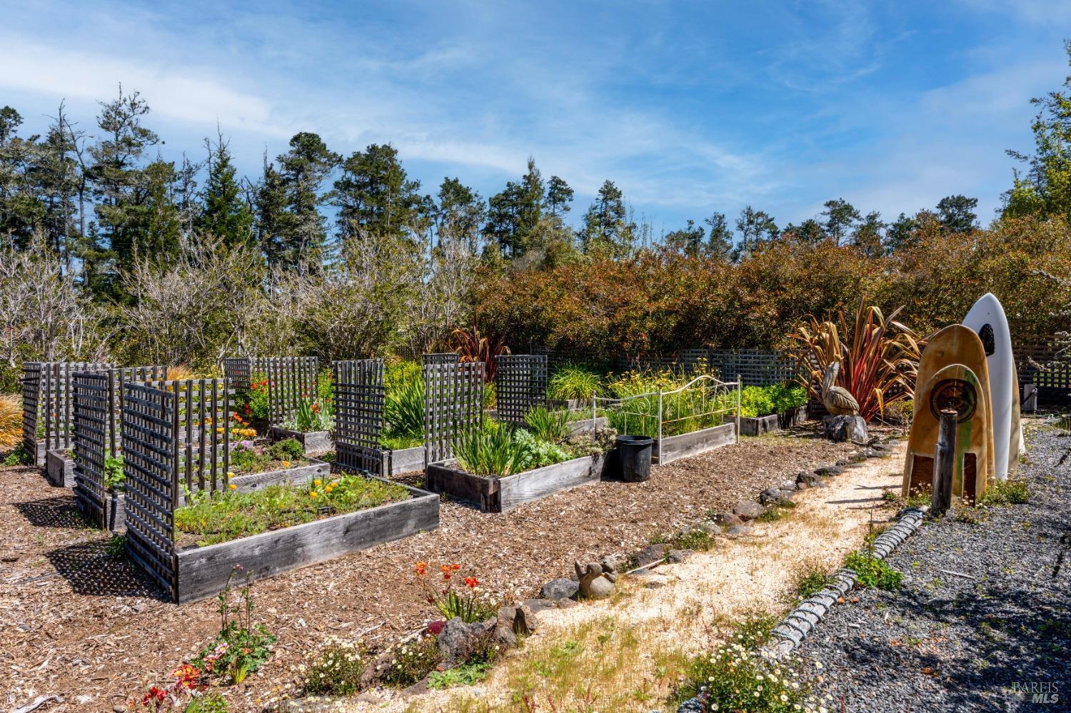 40811 Eureka Hill Road Point Arena CA 95468