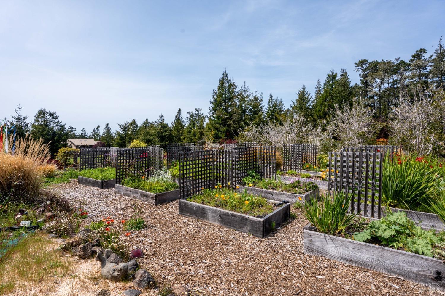 40811 Eureka Hill Road Point Arena CA 95468