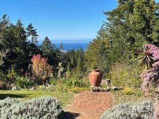 40811 Eureka Hill Road Point Arena CA 95468