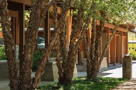 437 W Dry Creek Road Healdsburg CA 95448