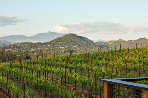 437 W Dry Creek Road Healdsburg CA 95448