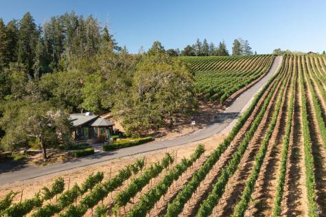 437 W Dry Creek Road Healdsburg CA 95448
