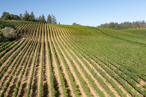 437 W Dry Creek Road Healdsburg CA 95448