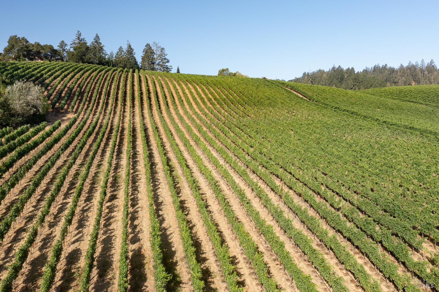 437 W Dry Creek Road Healdsburg CA 95448
