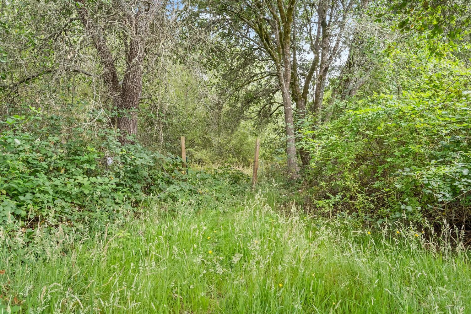 8157 Mill Station Road Sebastopol CA 95472