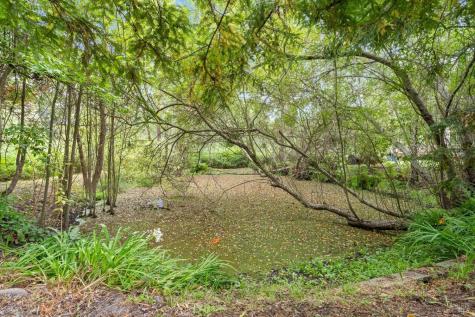 8157 Mill Station Road Sebastopol CA 95472