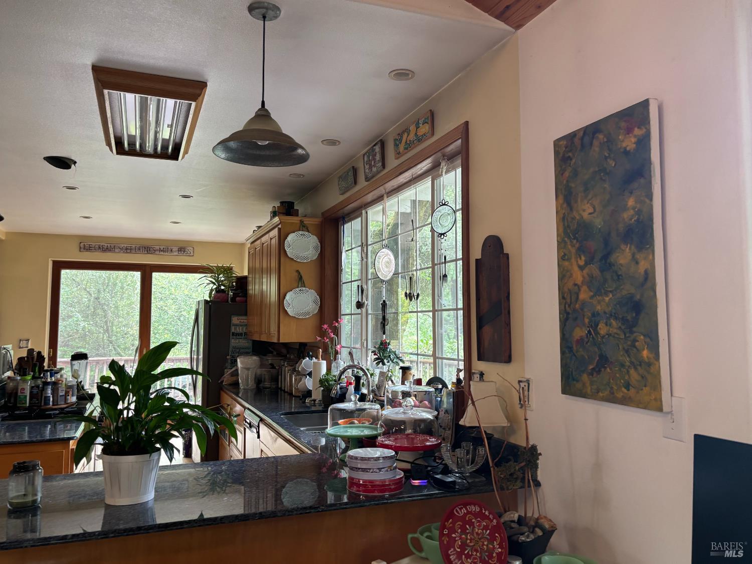8157 Mill Station Road Sebastopol CA 95472