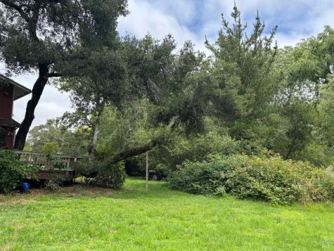 8157 Mill Station Road Sebastopol CA 95472