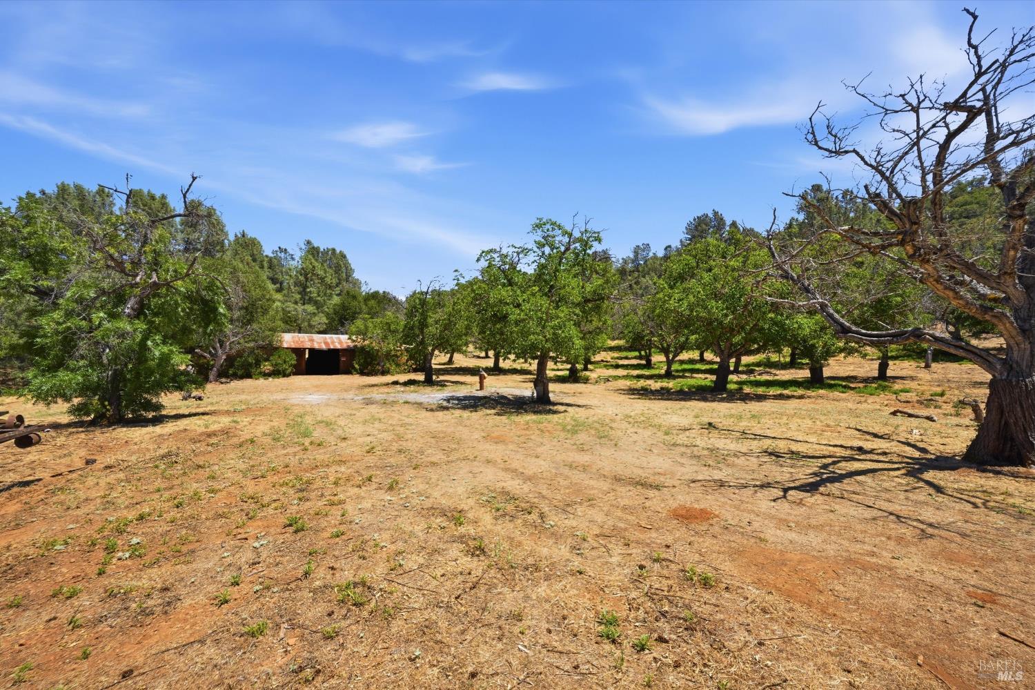 13420 Point Lakeview Road Lower Lake CA 95457
