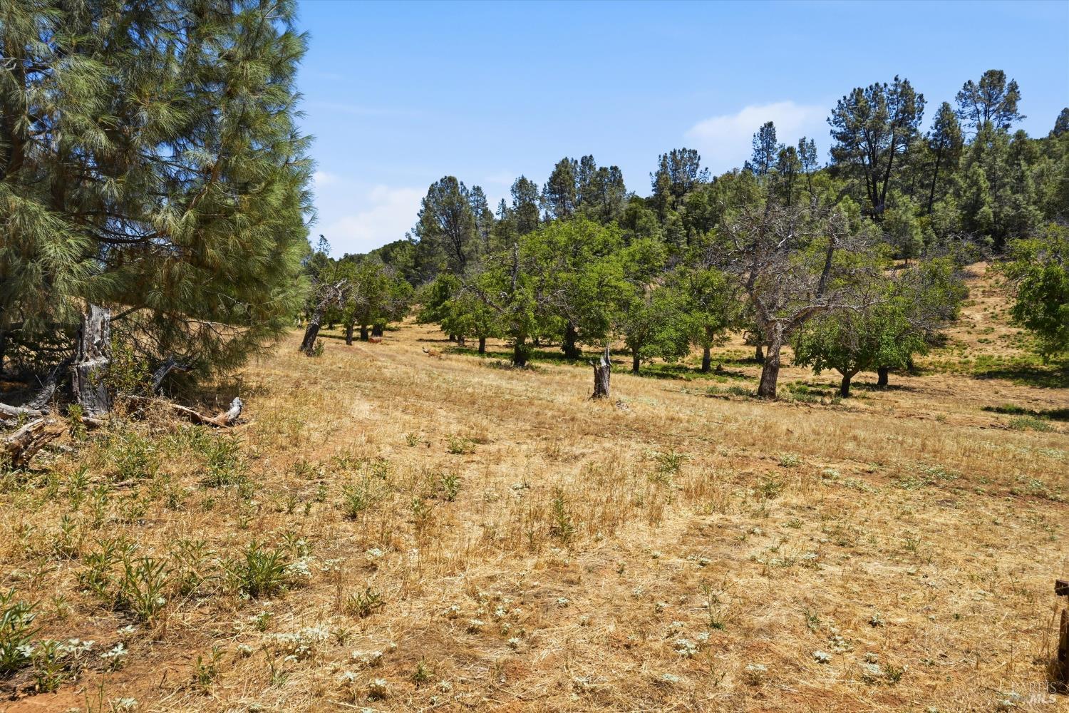 13420 Point Lakeview Road Lower Lake CA 95457