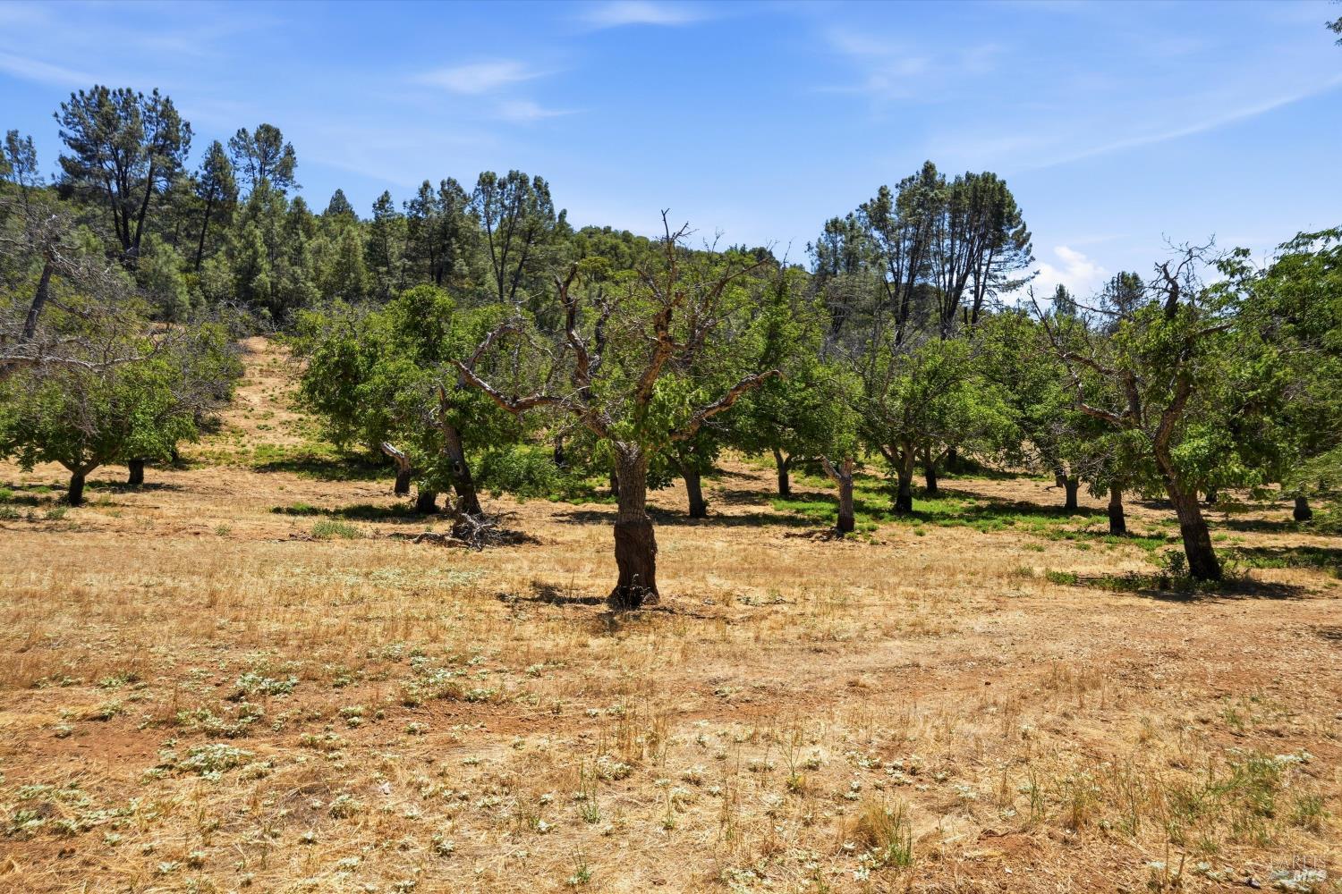 13420 Point Lakeview Road Lower Lake CA 95457