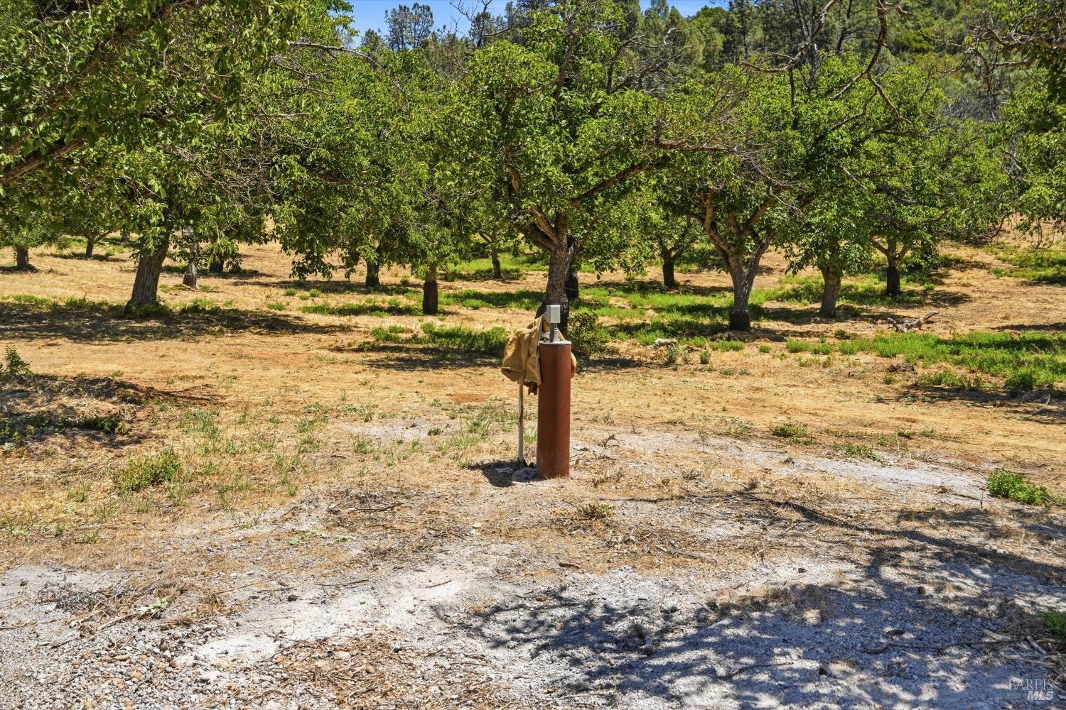 13420 Point Lakeview Road Lower Lake CA 95457