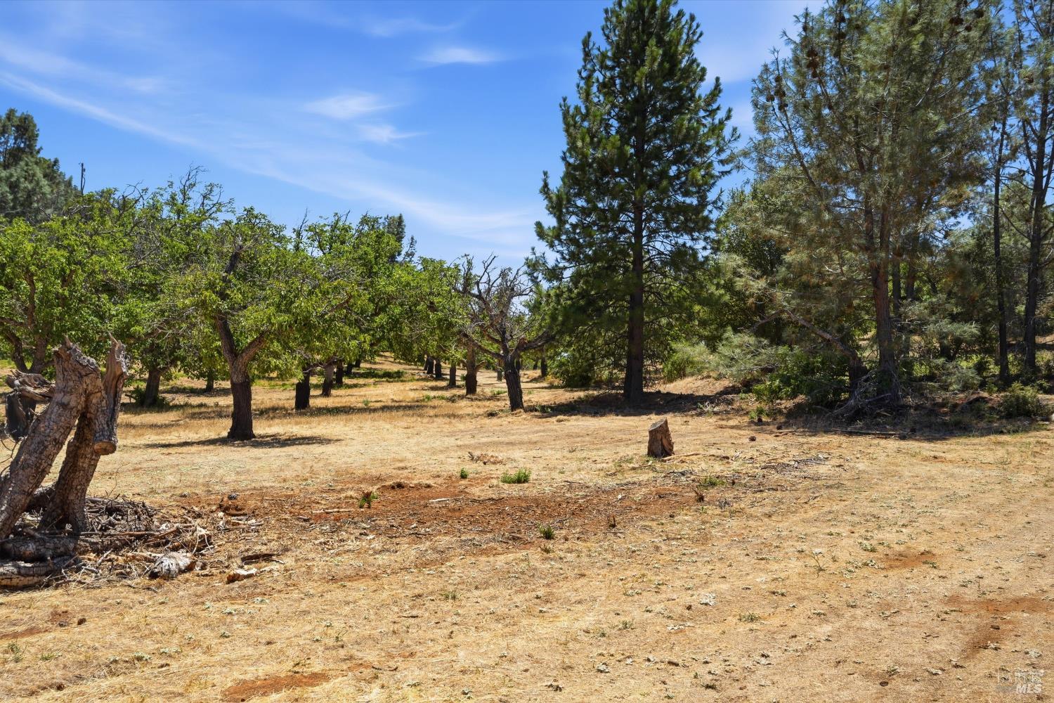 13420 Point Lakeview Road Lower Lake CA 95457