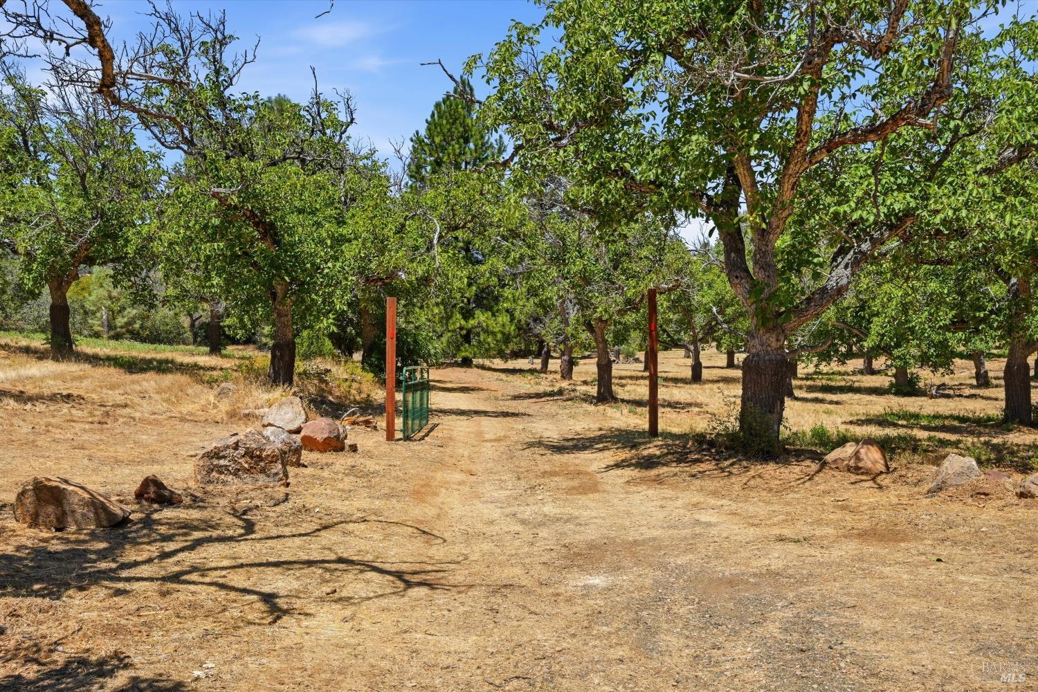 13420 Point Lakeview Road Lower Lake CA 95457