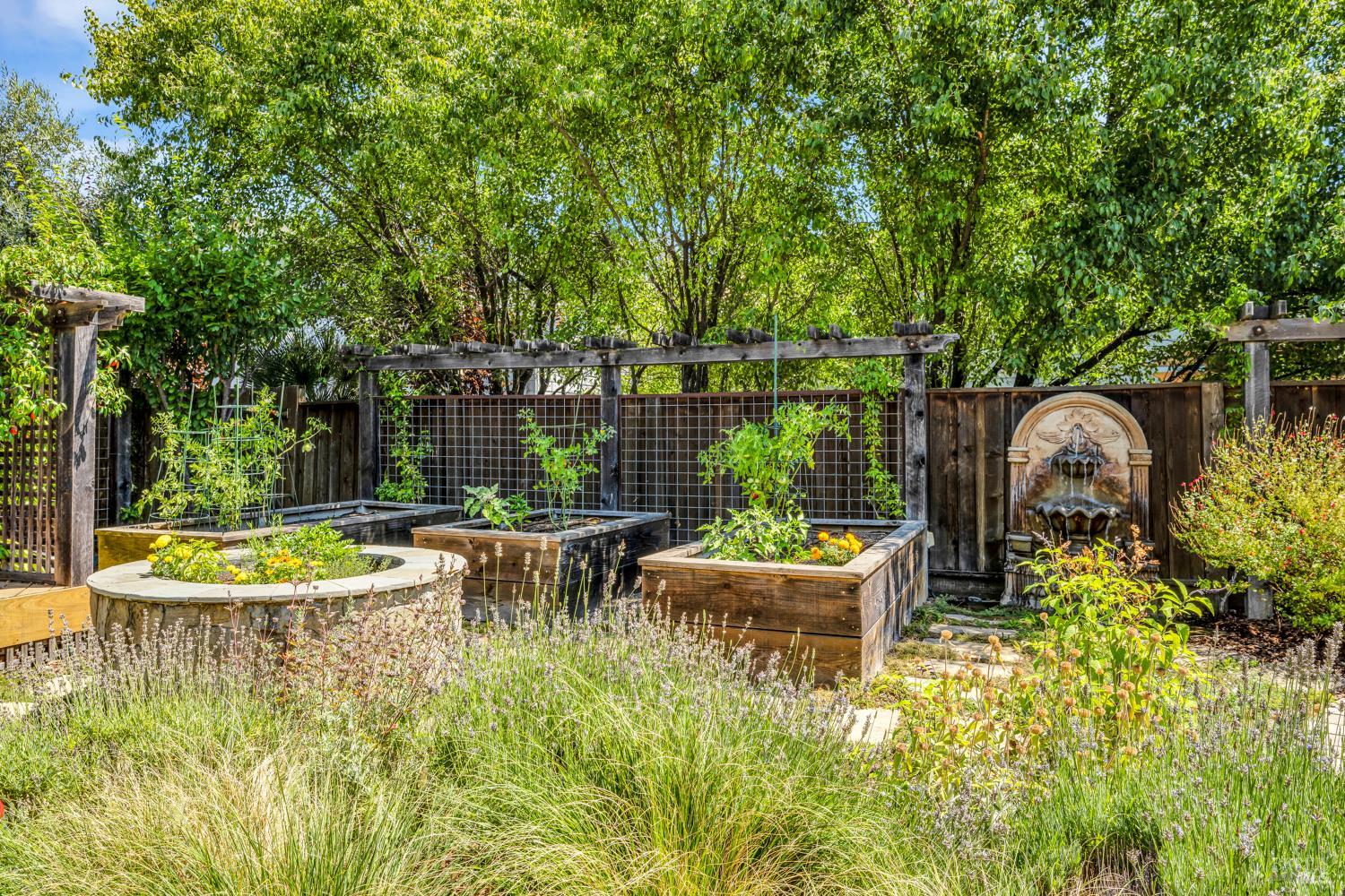 218 Saffron Court Napa CA 94559