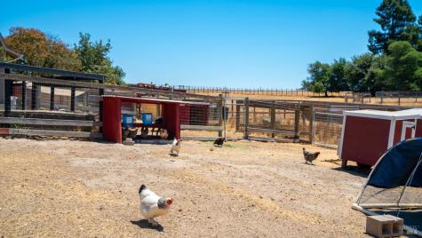 4175 Woodworth Road Sebastopol CA 95472