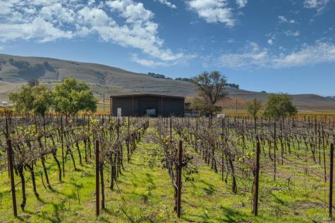 22033 Bonness Road Sonoma CA 95476