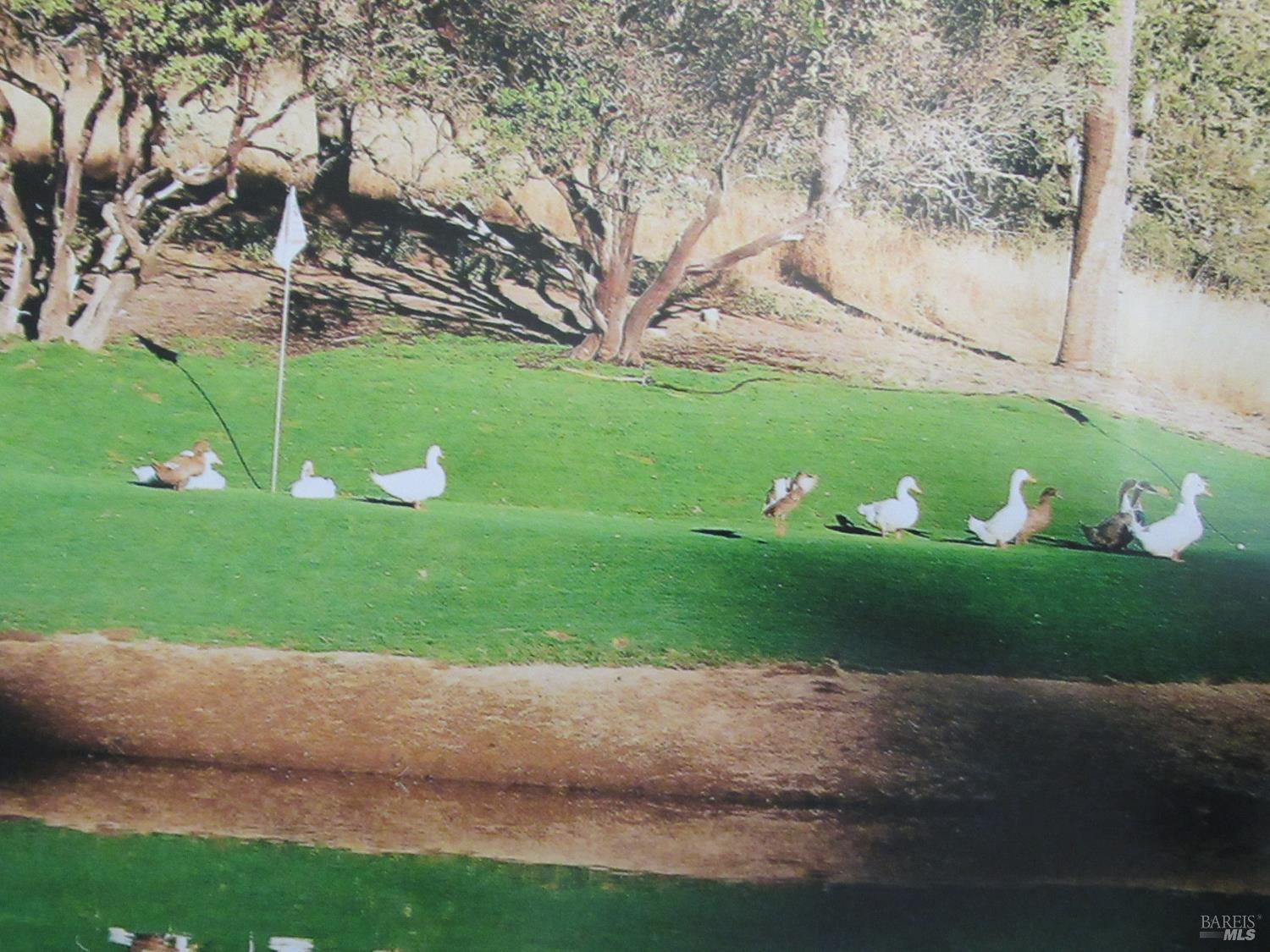 18300 Morgan Valley Road Lower Lake CA 95457
