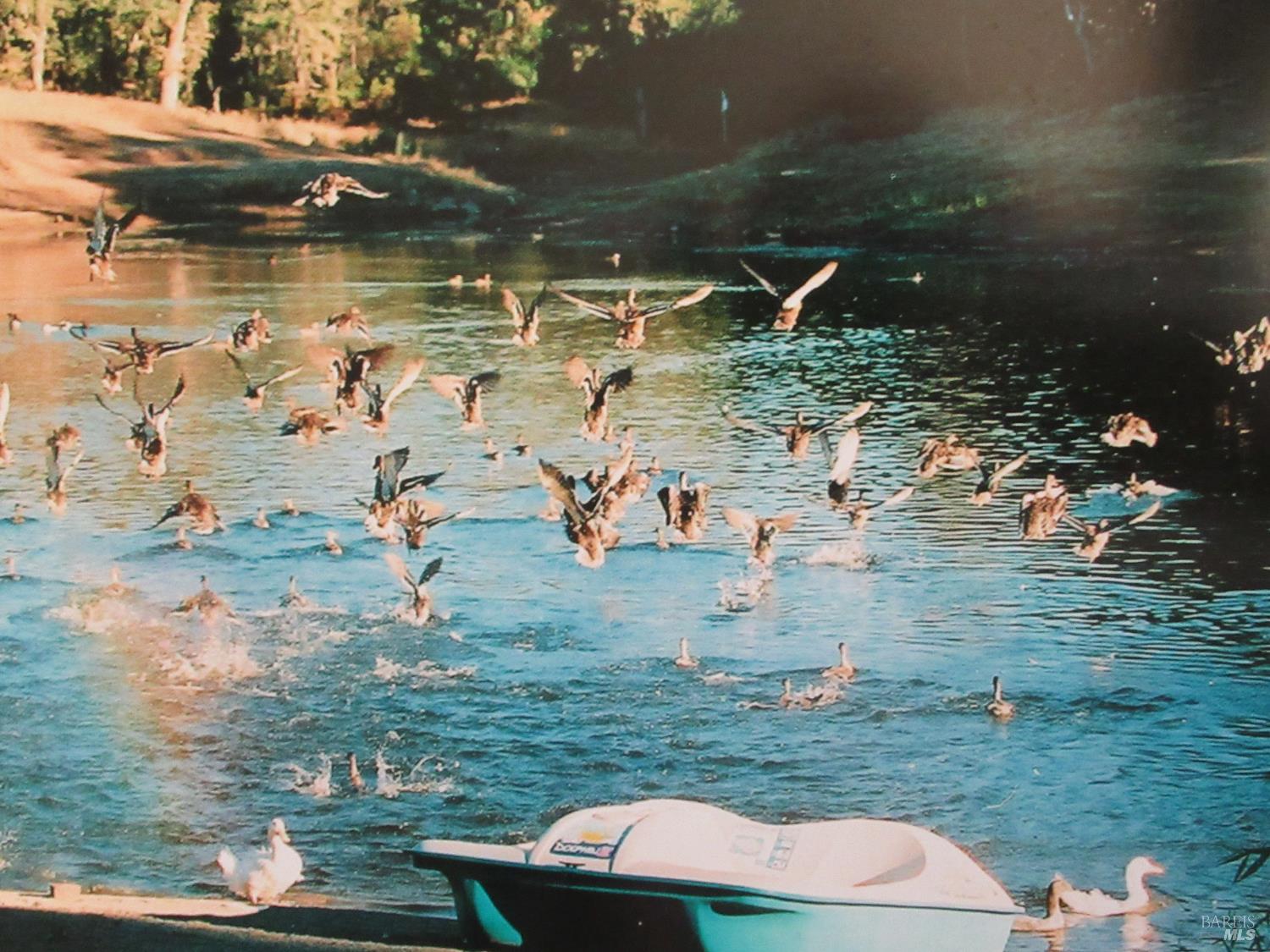 18300 Morgan Valley Road Lower Lake CA 95457