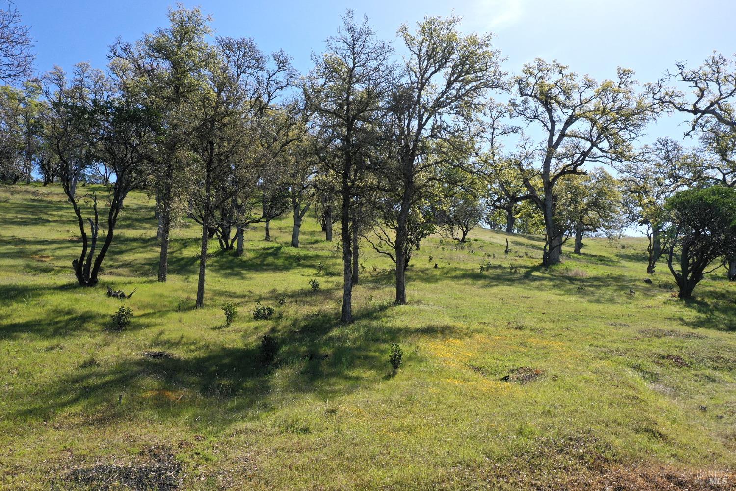 18300 Morgan Valley Road Lower Lake CA 95457