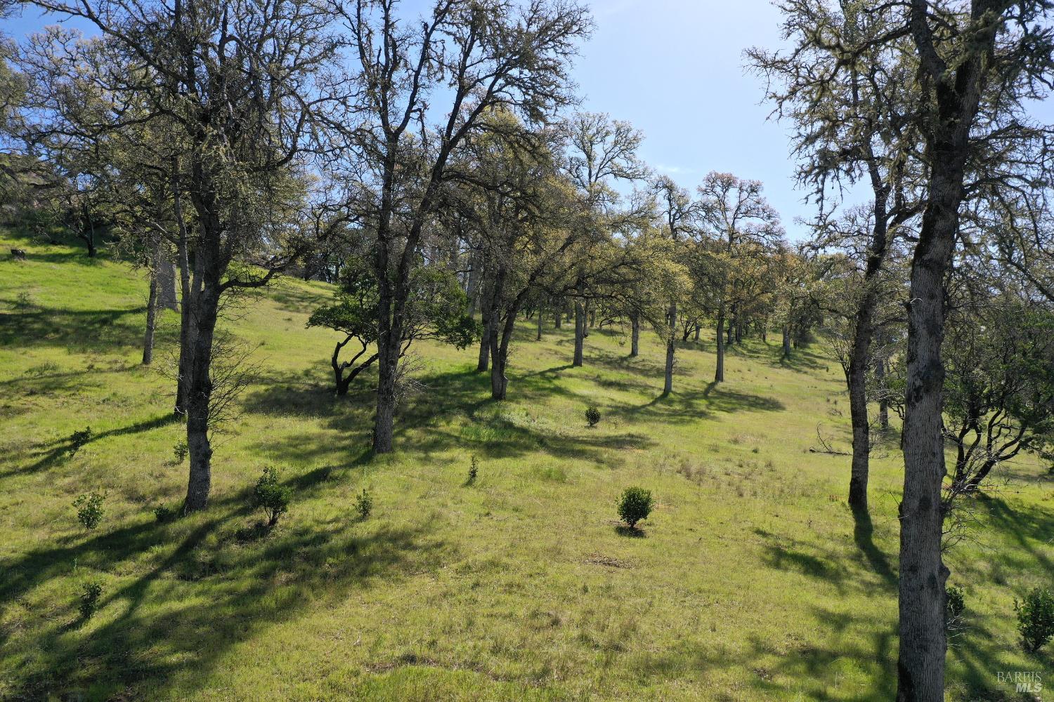 18300 Morgan Valley Road Lower Lake CA 95457
