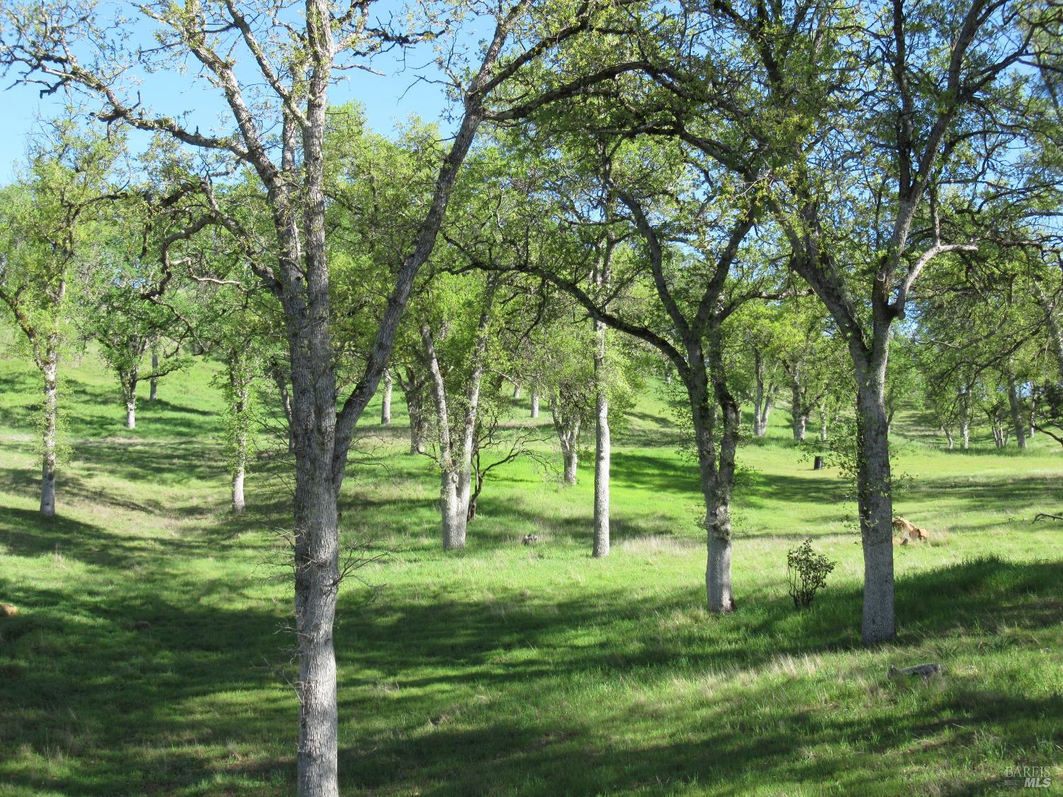 18300 Morgan Valley Road Lower Lake CA 95457