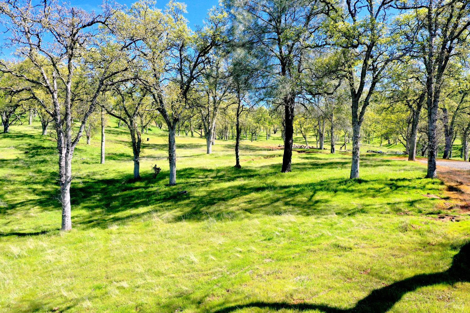 18300 Morgan Valley Road Lower Lake CA 95457