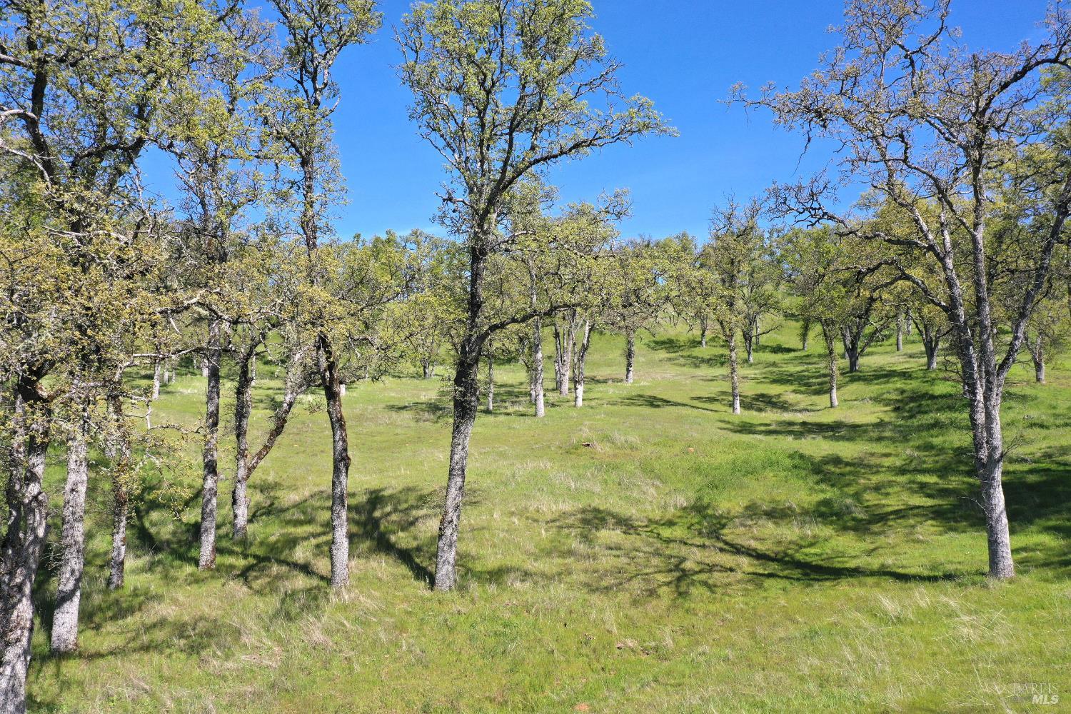 18300 Morgan Valley Road Lower Lake CA 95457
