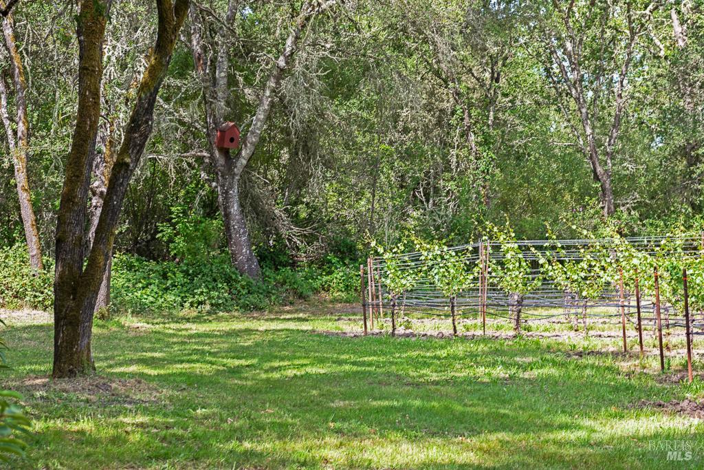 4542 Thomas Road Sebastopol CA 95472