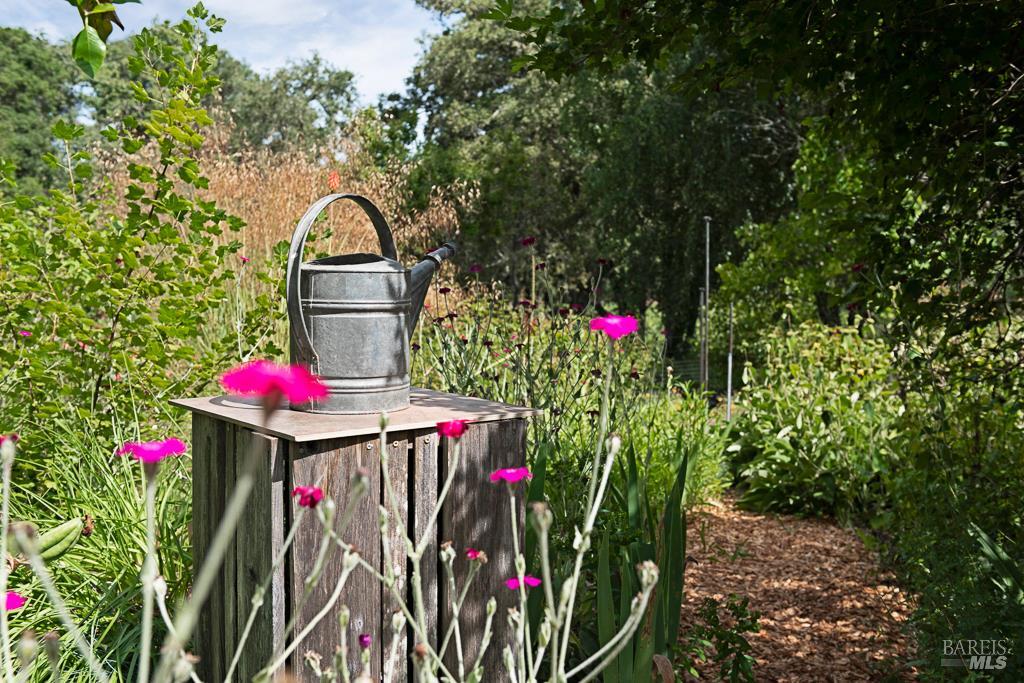 4542 Thomas Road Sebastopol CA 95472