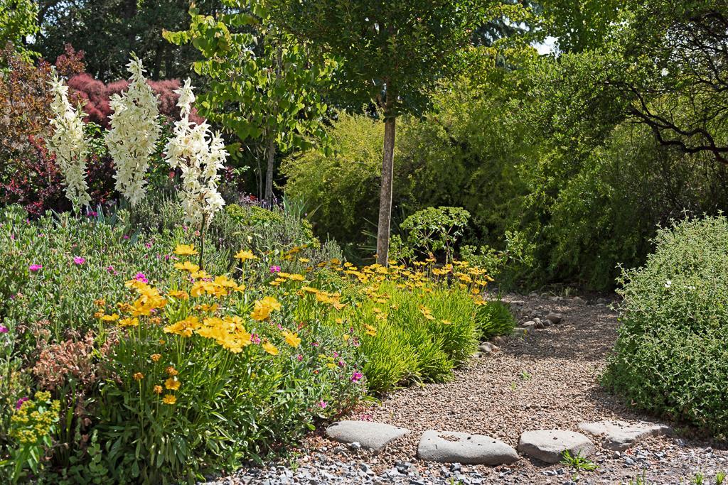 4542 Thomas Road Sebastopol CA 95472