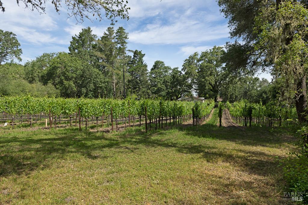 4542 Thomas Road Sebastopol CA 95472