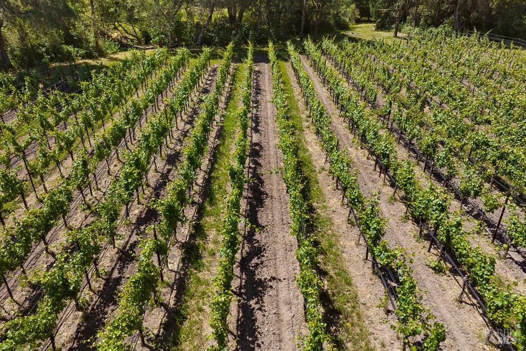 4542 Thomas Road Sebastopol CA 95472