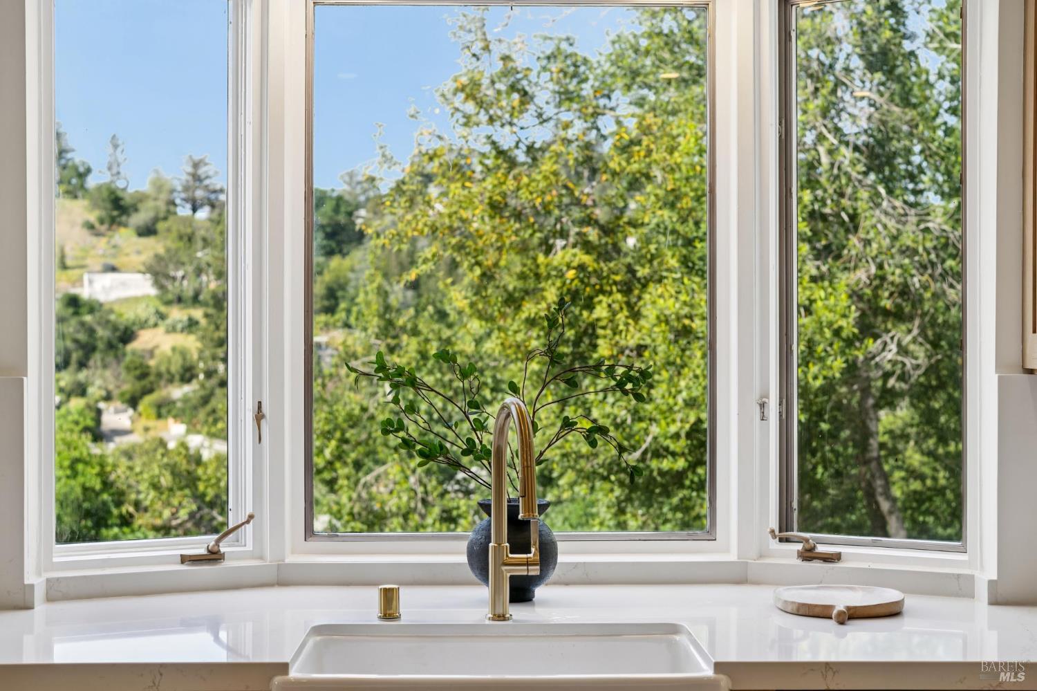 88 Lincoln Park San Anselmo CA 94960
