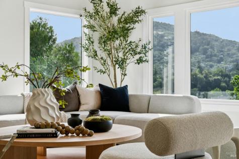 88 Lincoln Park San Anselmo CA 94960