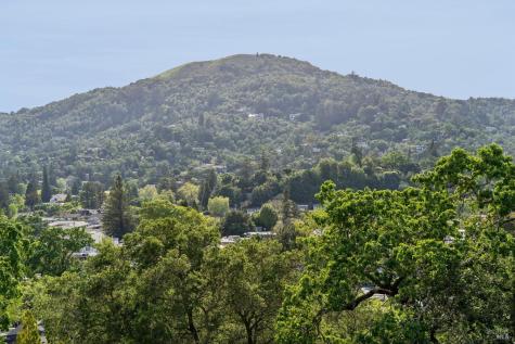 88 Lincoln Park San Anselmo CA 94960