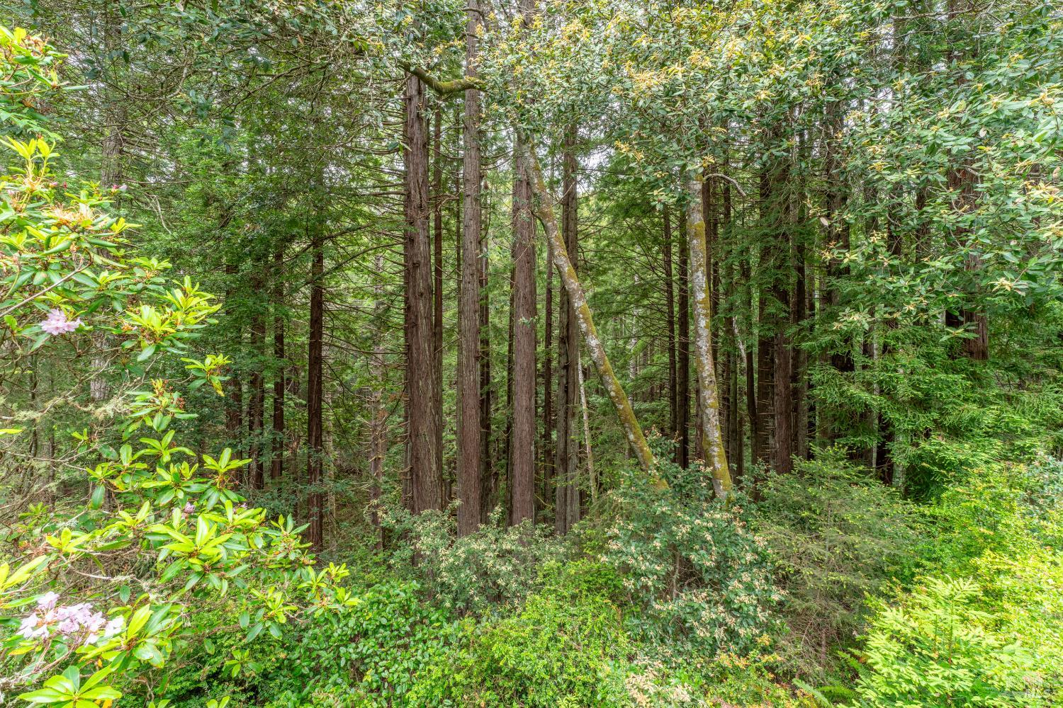 44475 Little River Airport Road Little River CA 95456