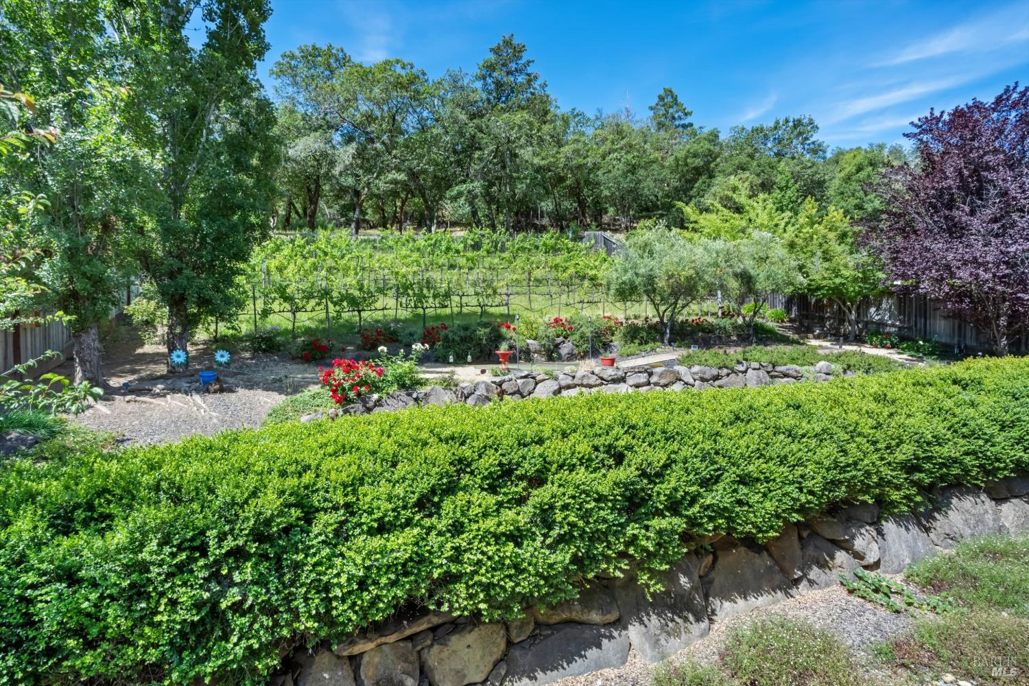 549 Port Circle Cloverdale CA 95425